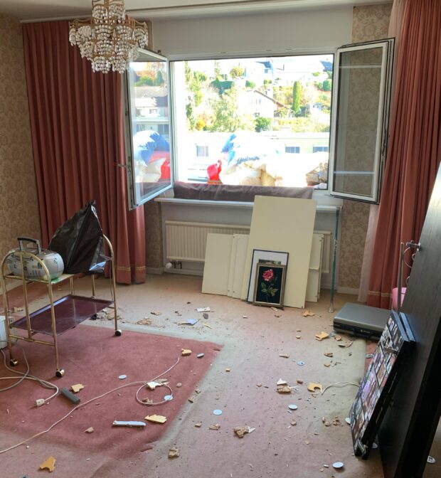 Entsorgung Richterswil