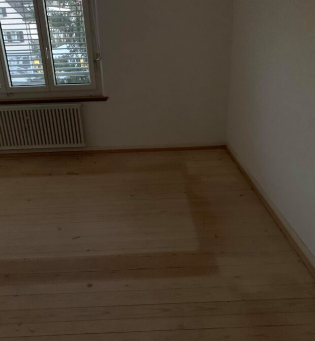 Entsorgung Seegräben